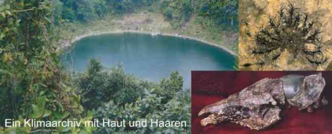 rezenter Maarsee auf Java (Foto: U. Kastenholz), Moos, undeformierter Urpferd-Schädel